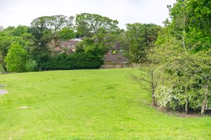 Photo 11- click for photo gallery